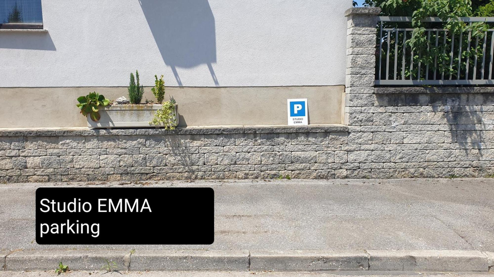 Studio Emma Ljubljana - Free Parking, Ac, Wifi Exterior photo